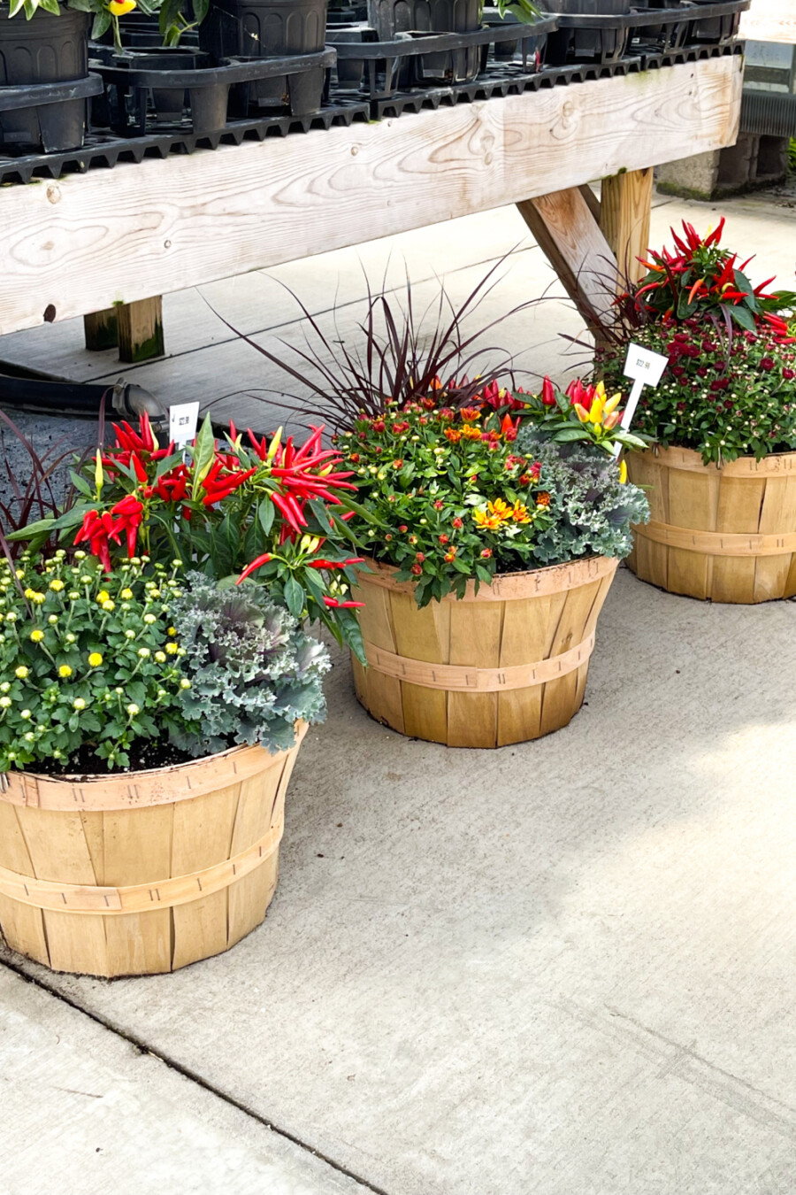 Designer Fall Planters Done The Easy Way - StoneGable