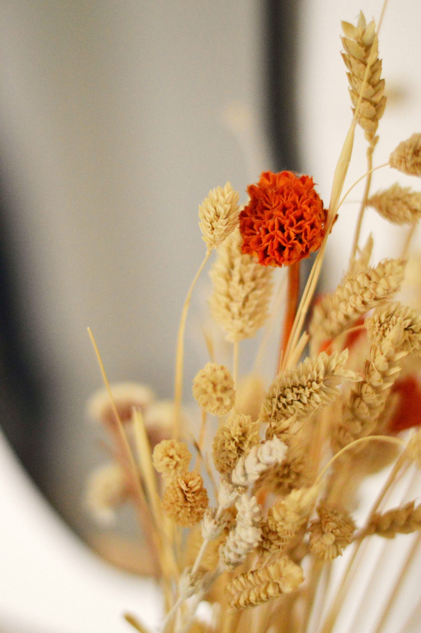 Dried flowers and wheat stalks with orange accent.