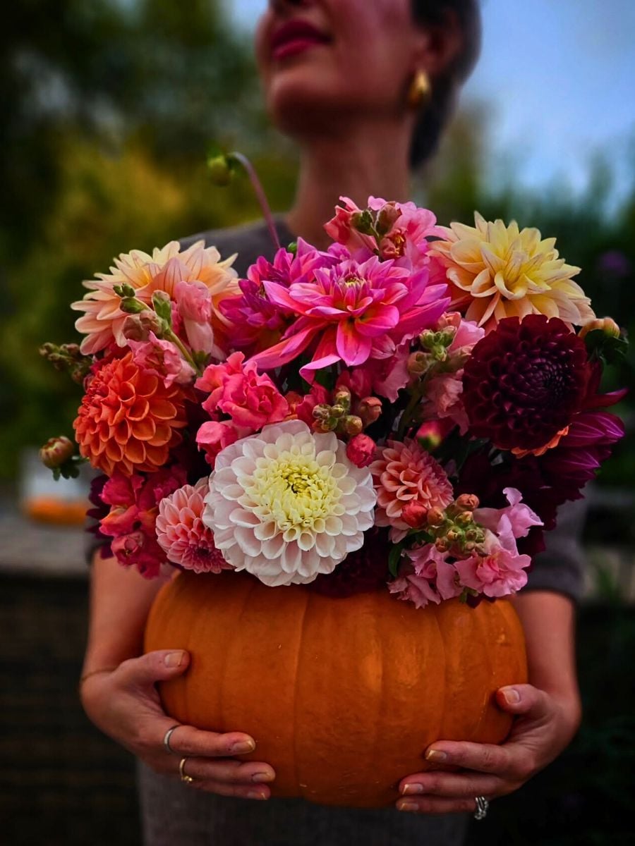 Fall Flowers Best Autumn Flowers for Designs and Gardens
