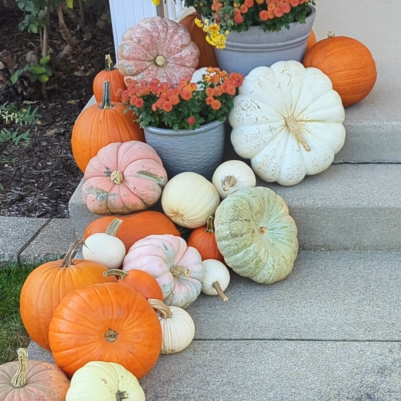 Fall Mini Package – Elegant Pumpkins