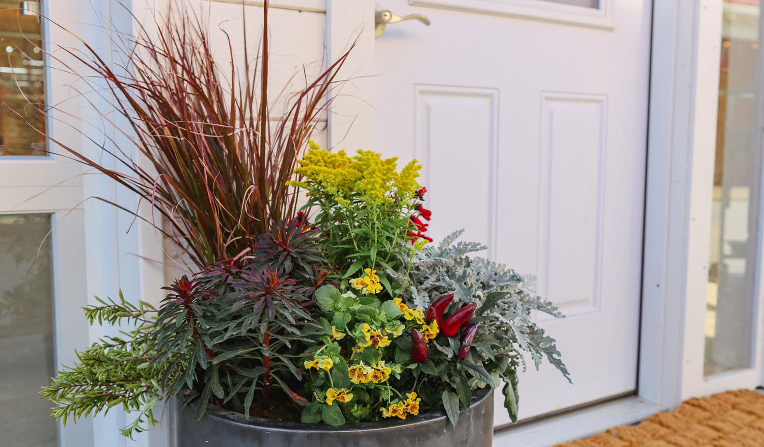 Fall Pots: Team Sun or Shade? | Franz Witte Garden Center