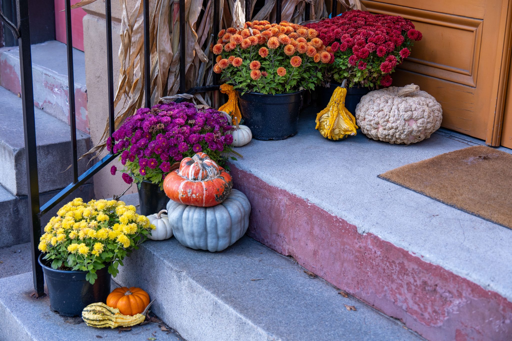 Festive autumn porch with pumpkins, mums, and gourds in North Kingstown, Rhode Island.