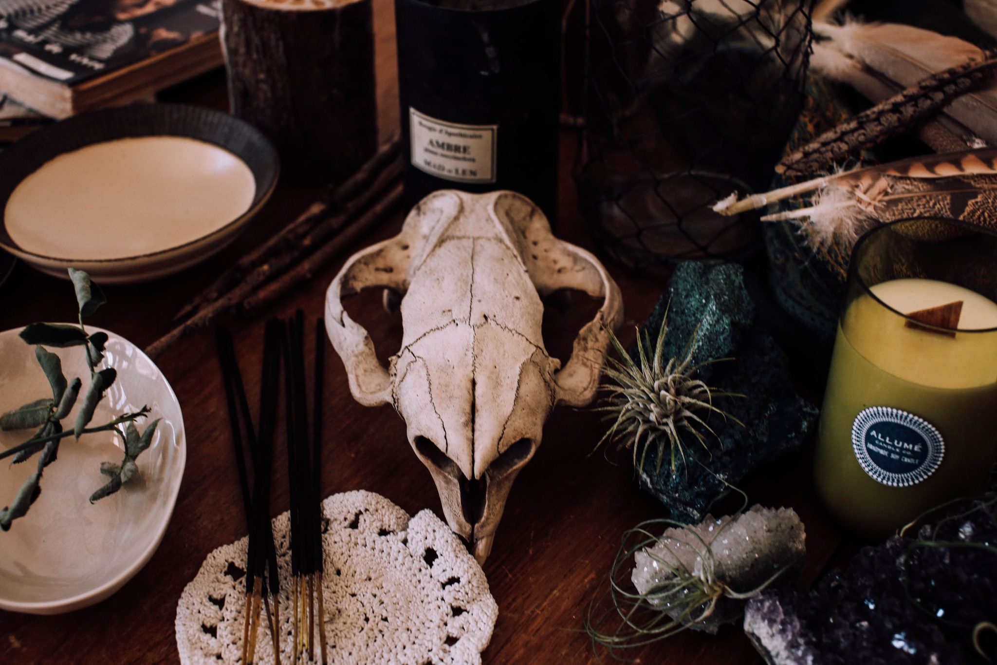 From above of spooky skull decorating table with bowls and candles near and sea urchin and wine bottle on table