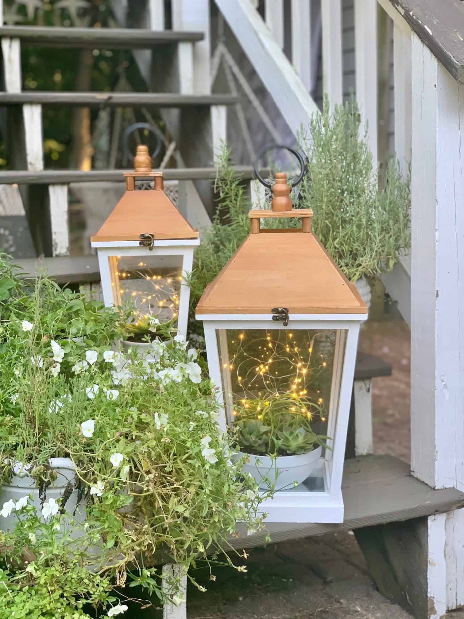 Garden Lantern Idea with Succulents and Twinkle Lights - Celebrated Nest
