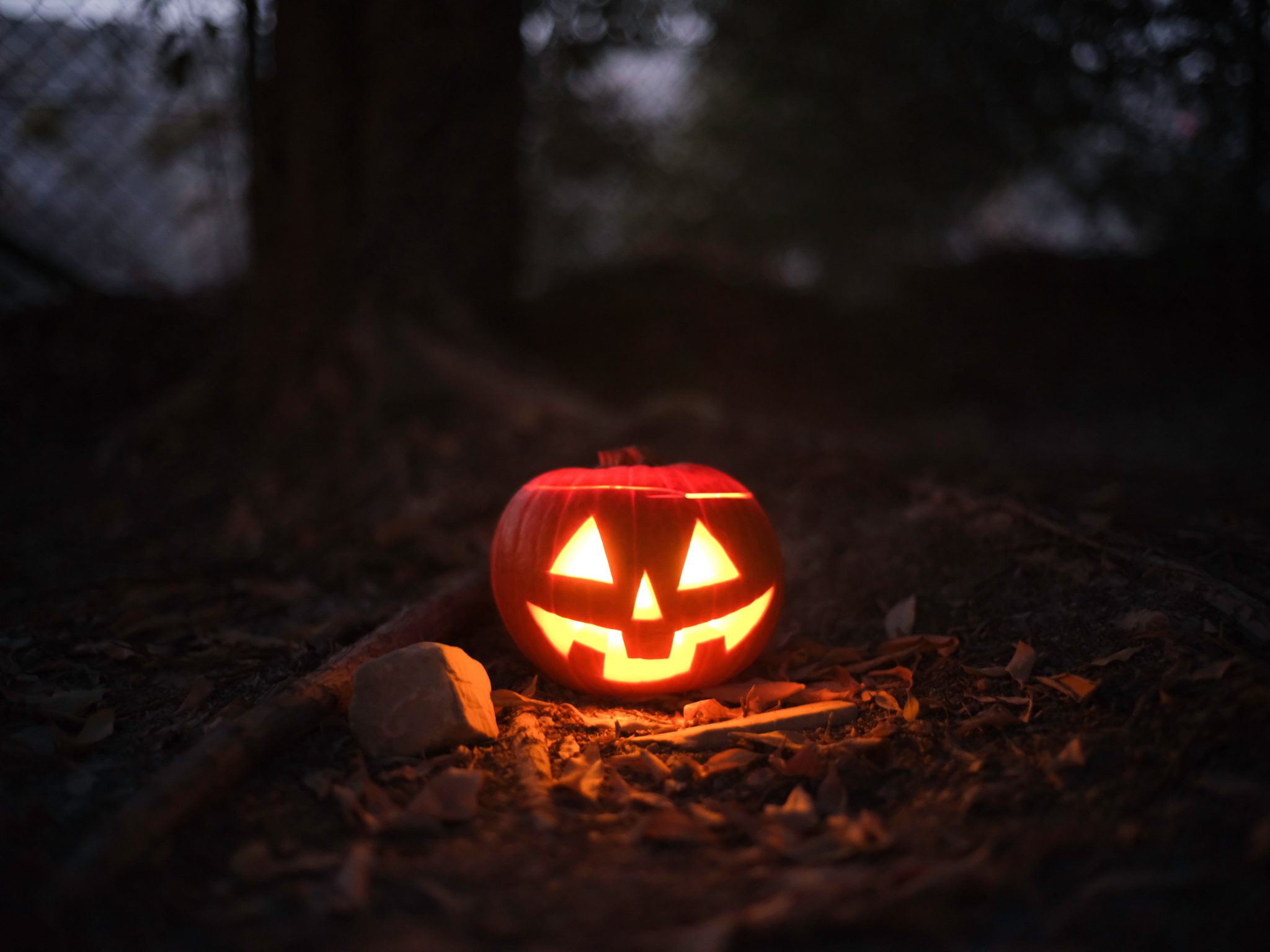 Glowing jack-o'-lantern in a spooky outdoor setting, perfect for Halloween themes.