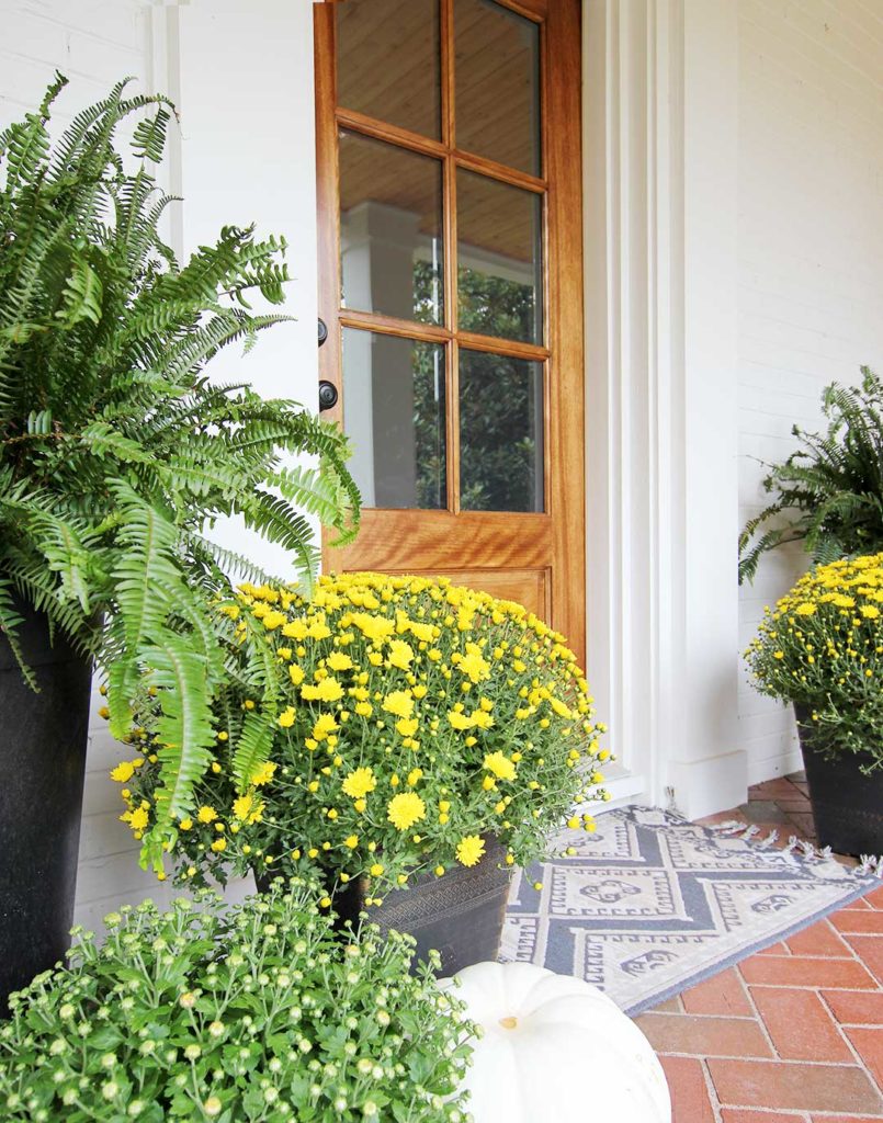 How to Decorate Your Porch for Fall - Plank and Pillow