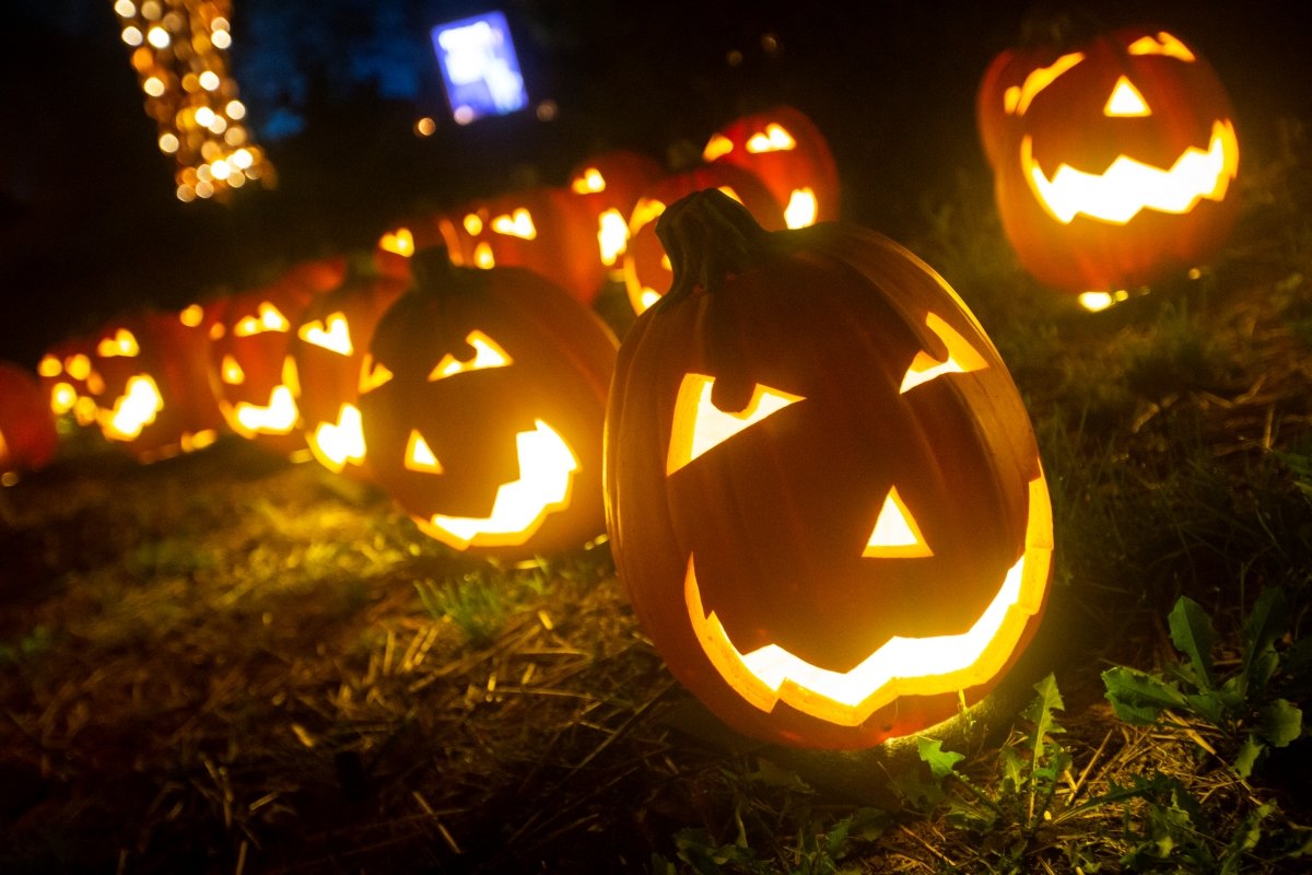 How to Preserve Pumpkins Without Harming Wildlife