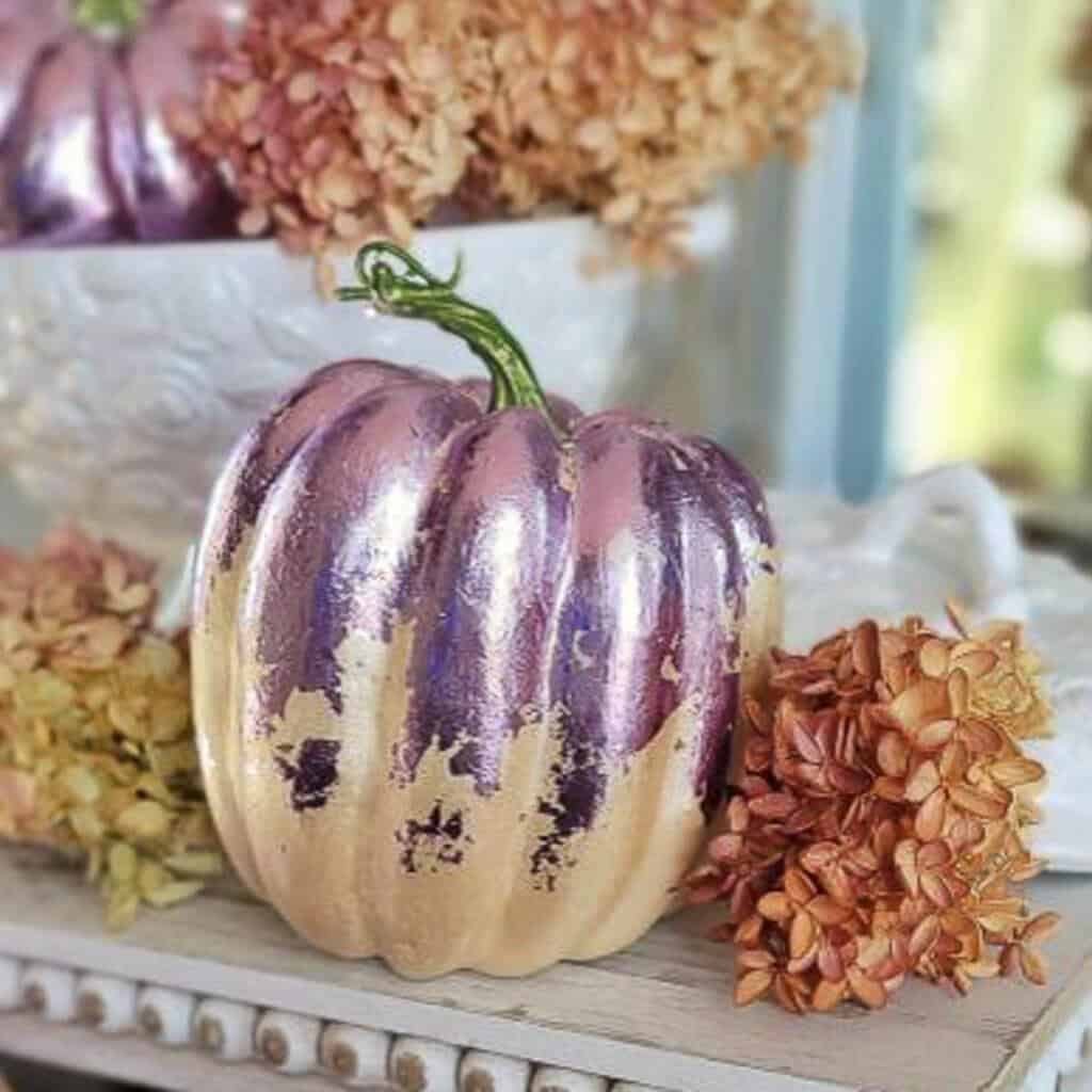 Hydrangea Inspired Pink Pumpkins - Sweet Valley Acres