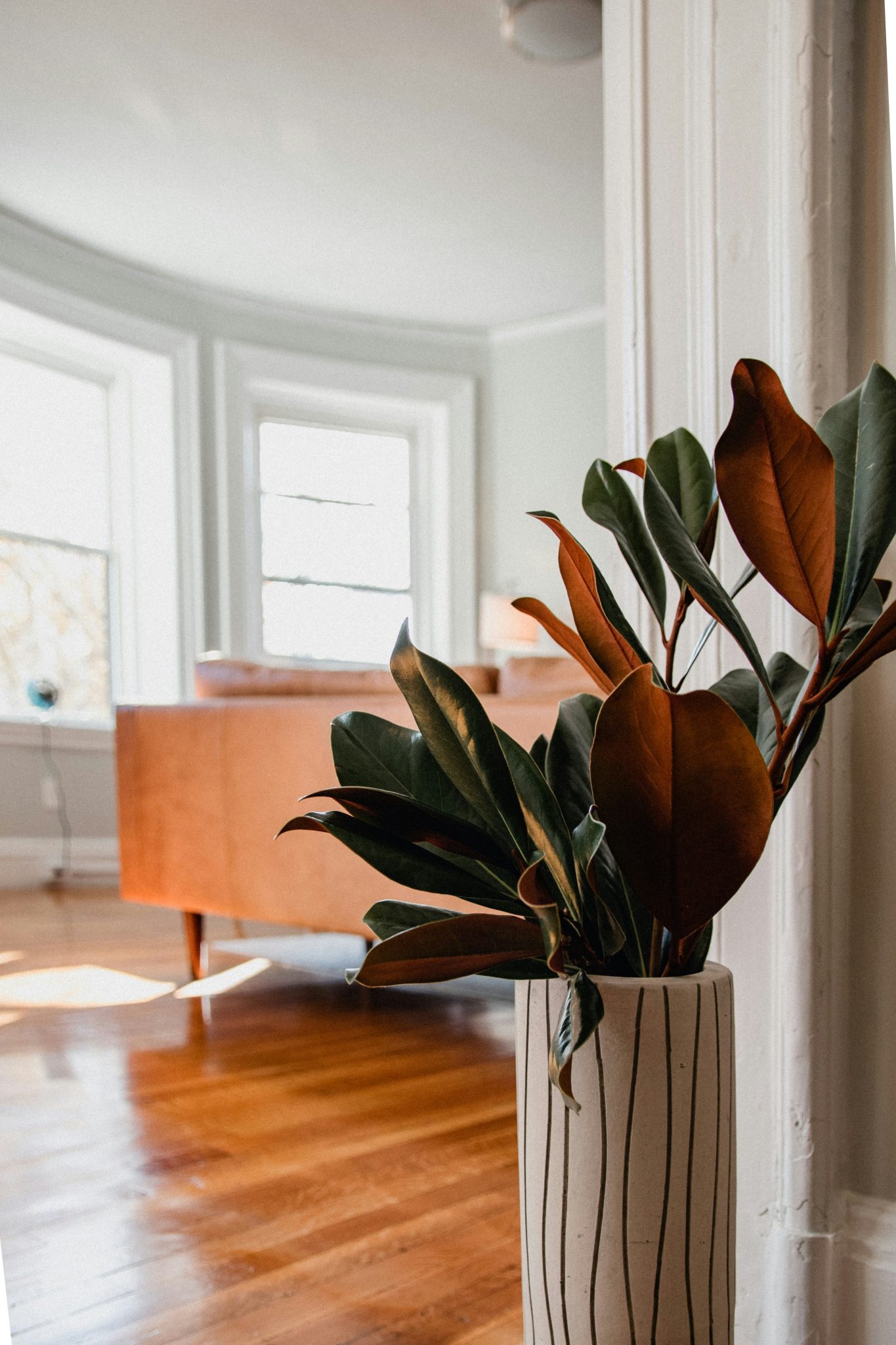 Magnolia branches in a vase in a brightly lit living room