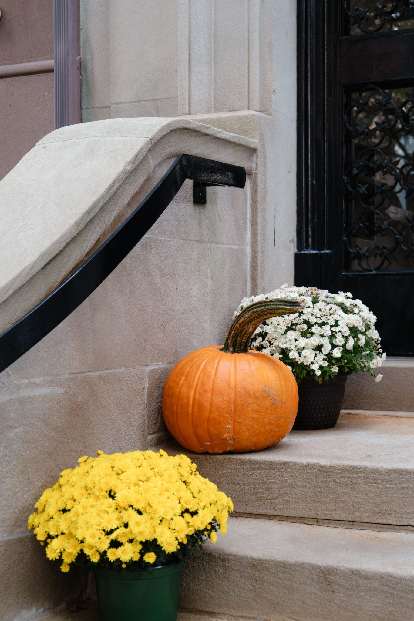 Orange pumpkin and chrysanthemums on stone steps, creating a cozy fall atmosphere.