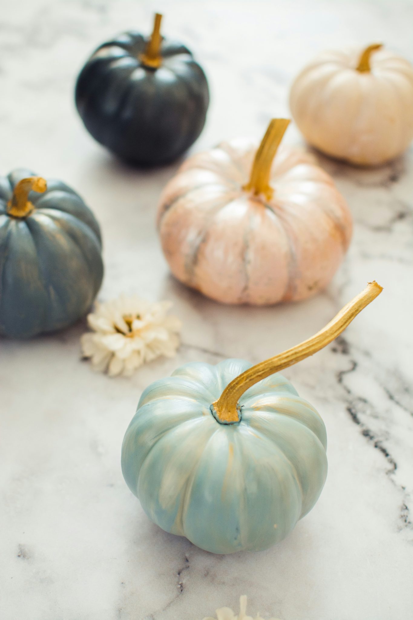 Painted Pumpkins on marble, Fall, Autumn