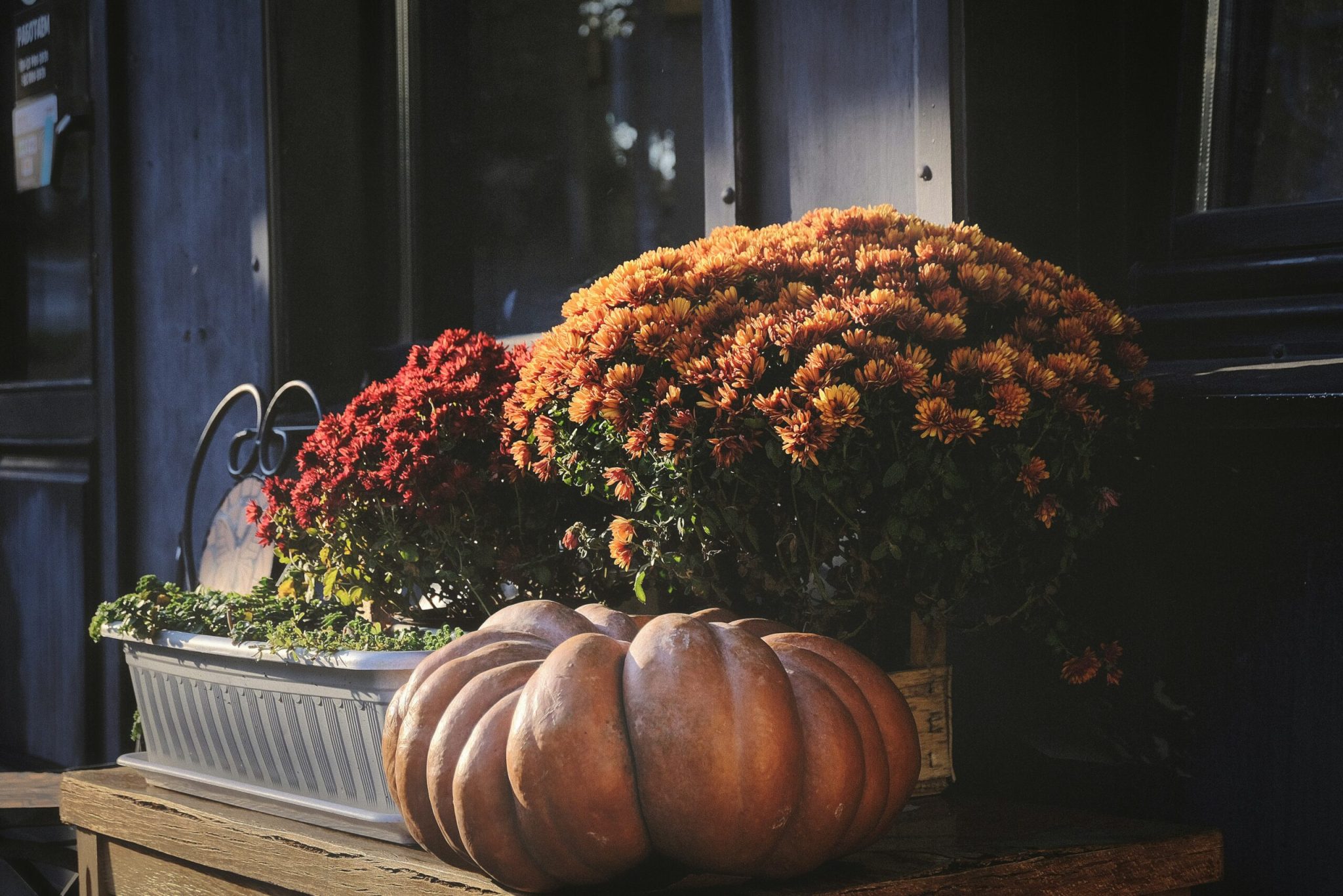 Porch Pumpkin Decor Ideas for a Festive Fall Front Porch