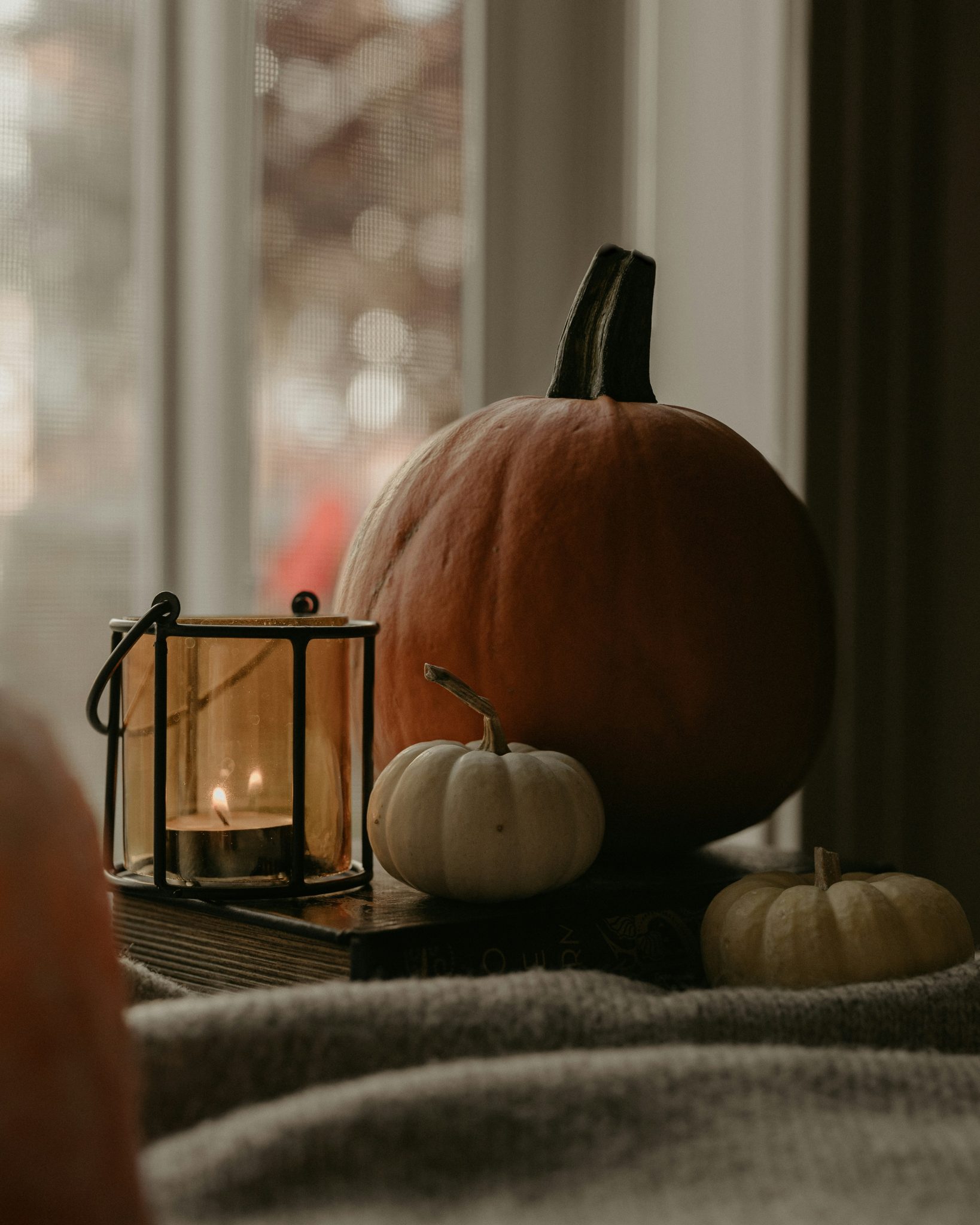 pumpkin addict