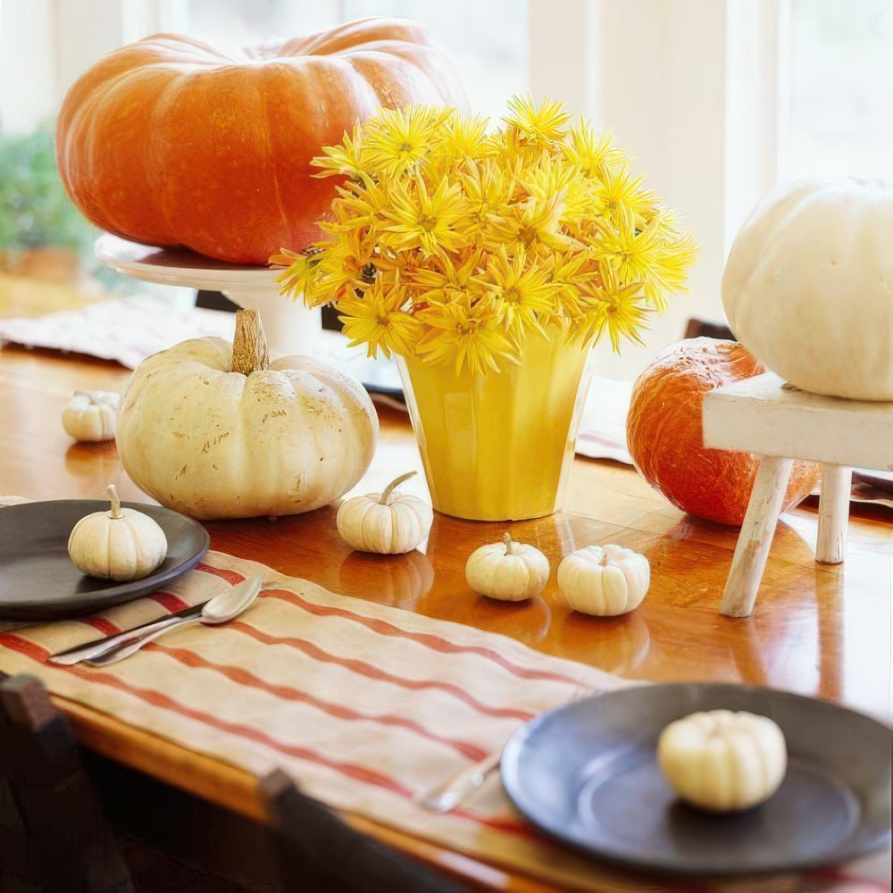 Pumpkin Arrangements Small Small Cement Pumpkin Trellis Succulent Arrangement Rooted In Paradise Succulent Studio – Rooted In