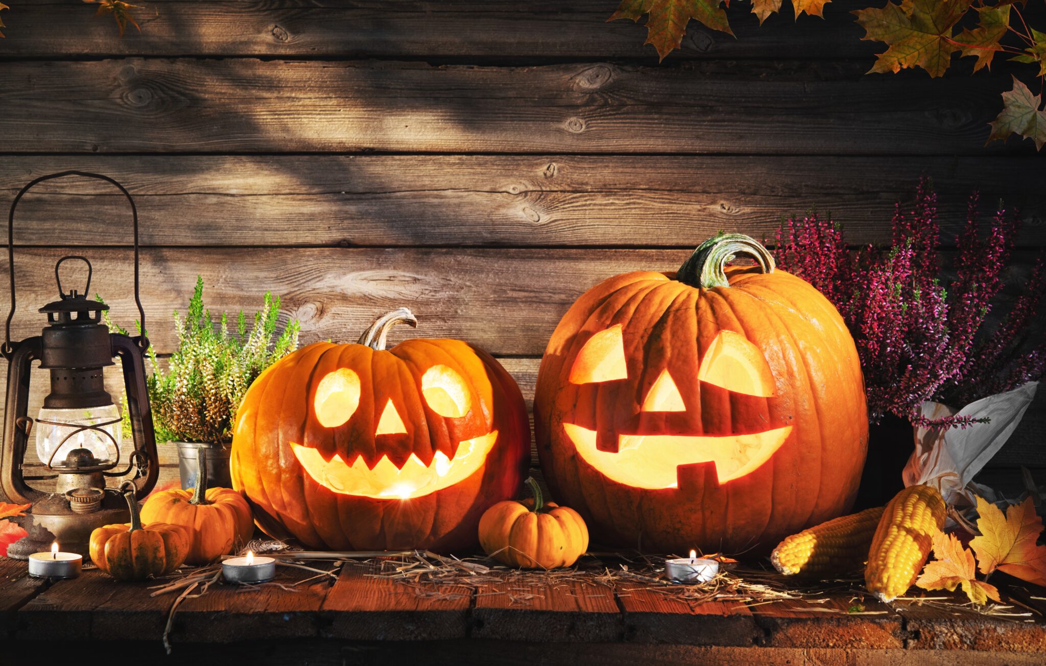 Pumpkin carving tips and ideas for 2021 - Seattle's Child