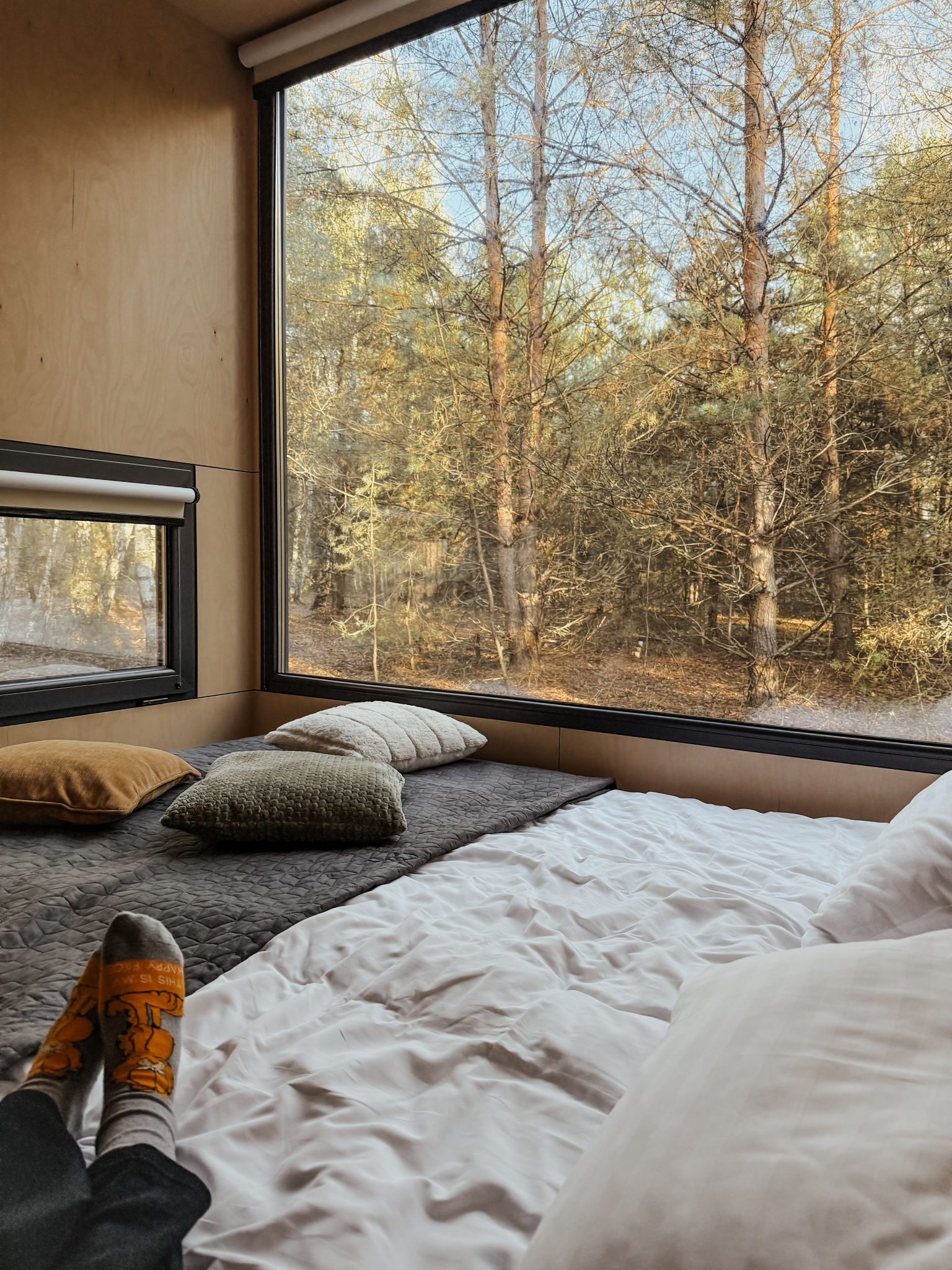 Relaxing view of a forest from a cozy bedroom setting, ideal for nature lovers.