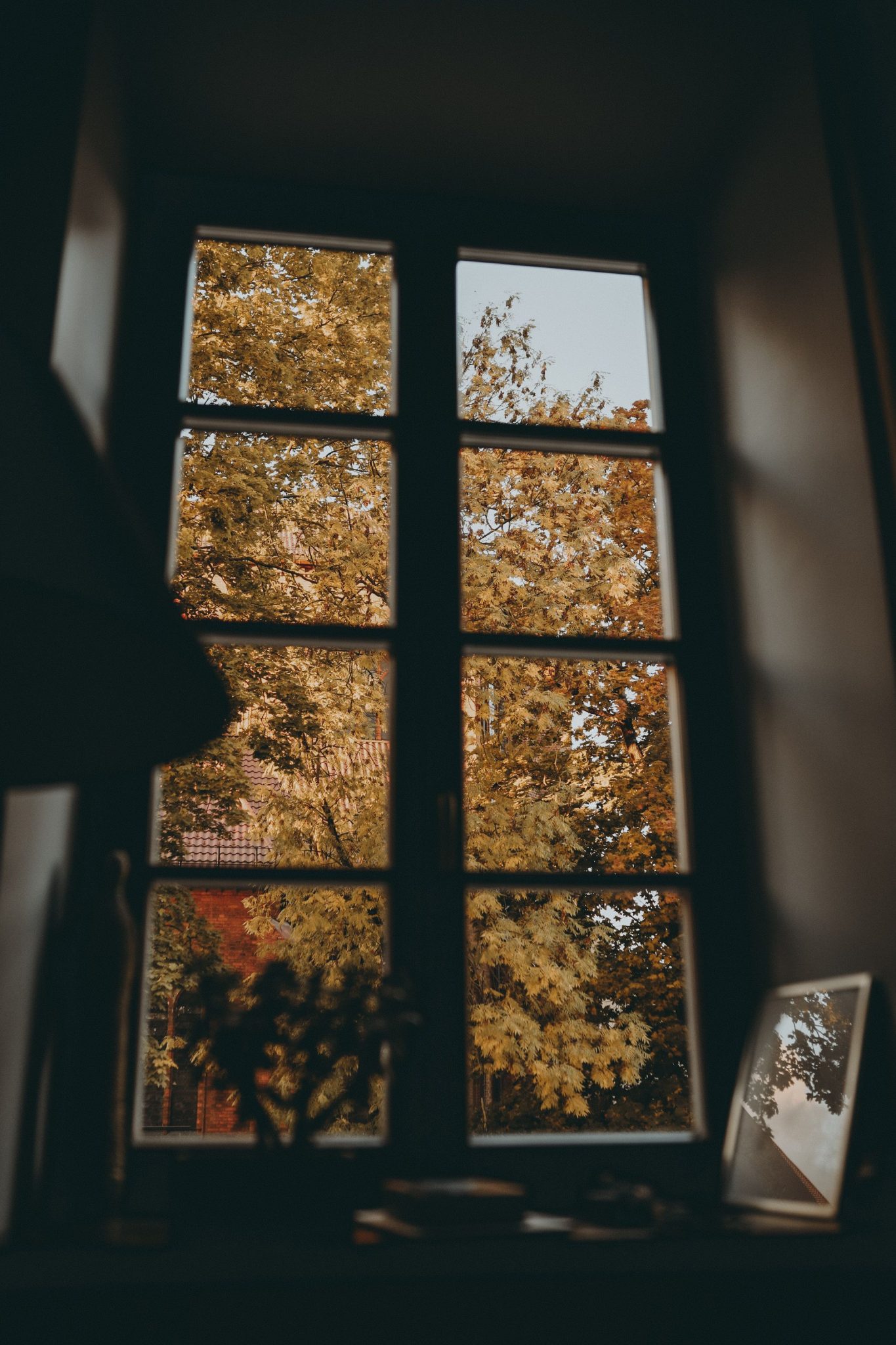 Rustic window framing vibrant autumn leaves, creating a cozy indoor ambience.