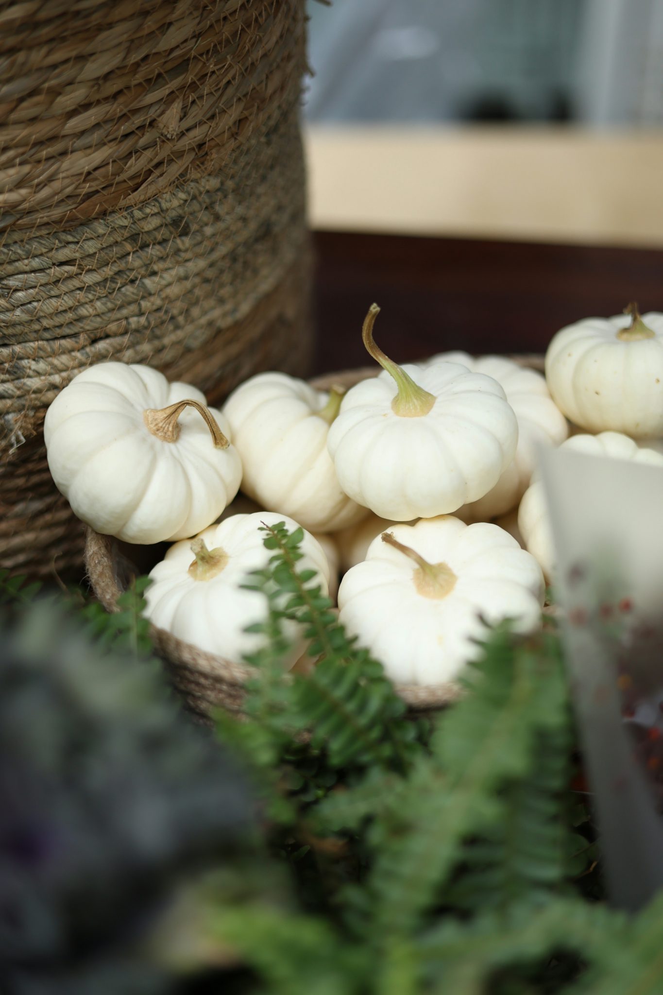 Small white pumpkins arranged in a basket with greenery.