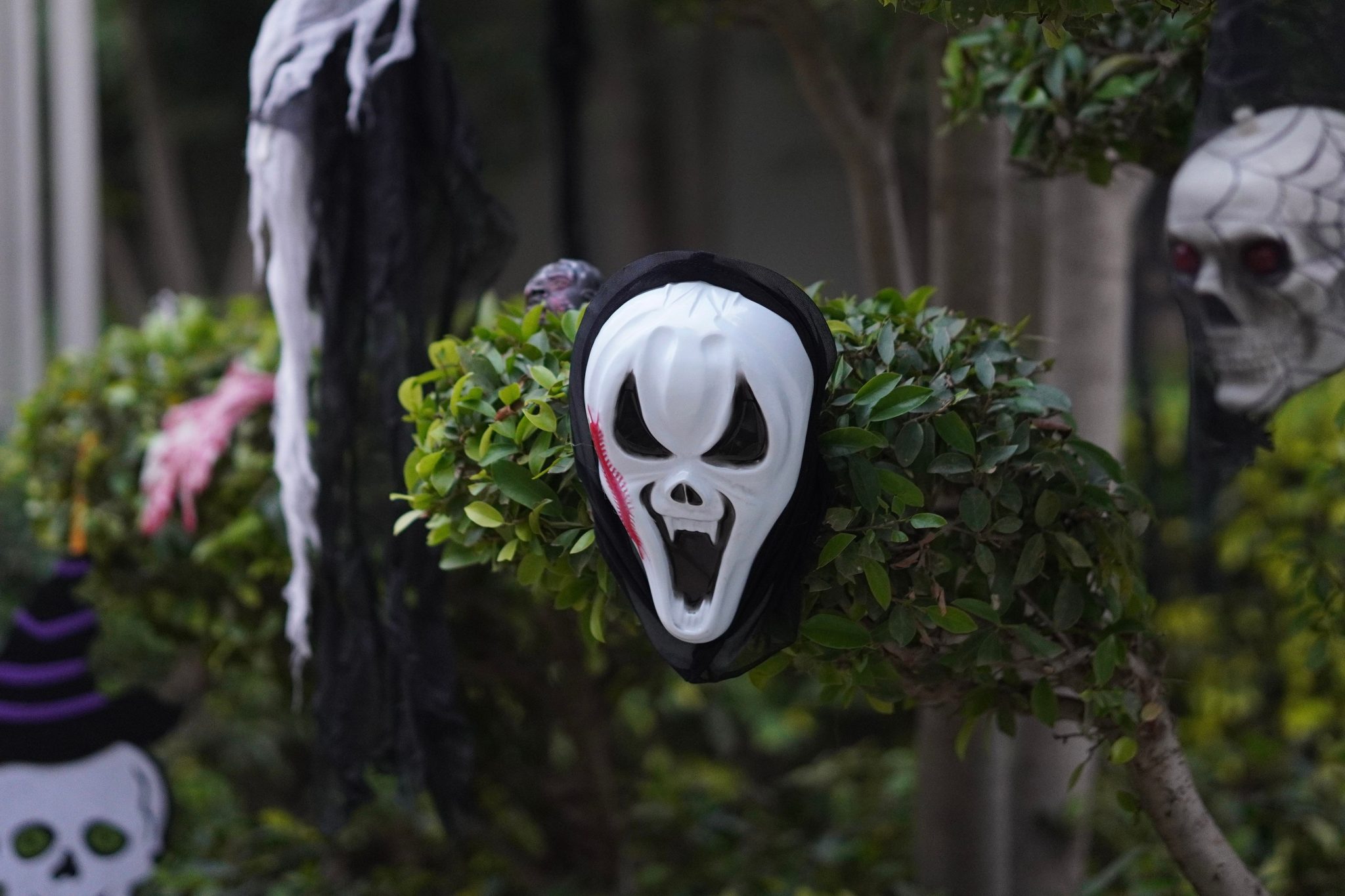Spooky Halloween skull masks on tree branches in a garden setting.