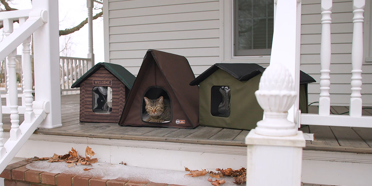 Stray Cat Warm Outdoor Cat House Buy Double Decker Outdoor Cat House Insulated Feral Cat Shelter