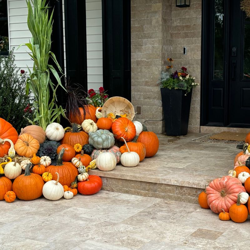 The Grand Harvest | Front Porch Flora