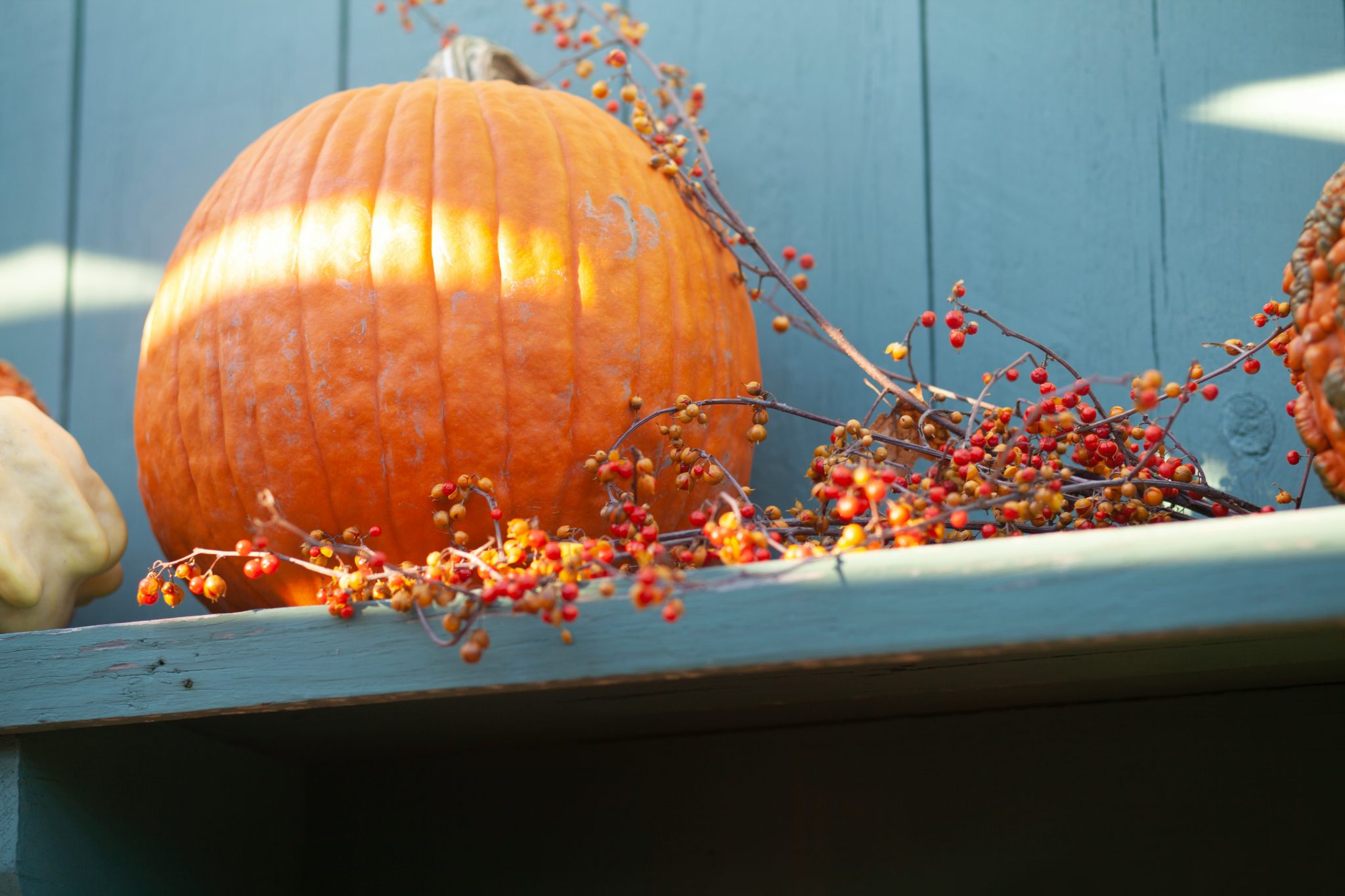 The sunlight seemed to be telling me to take a picture of this large pumpkin way up on the highest shelf.