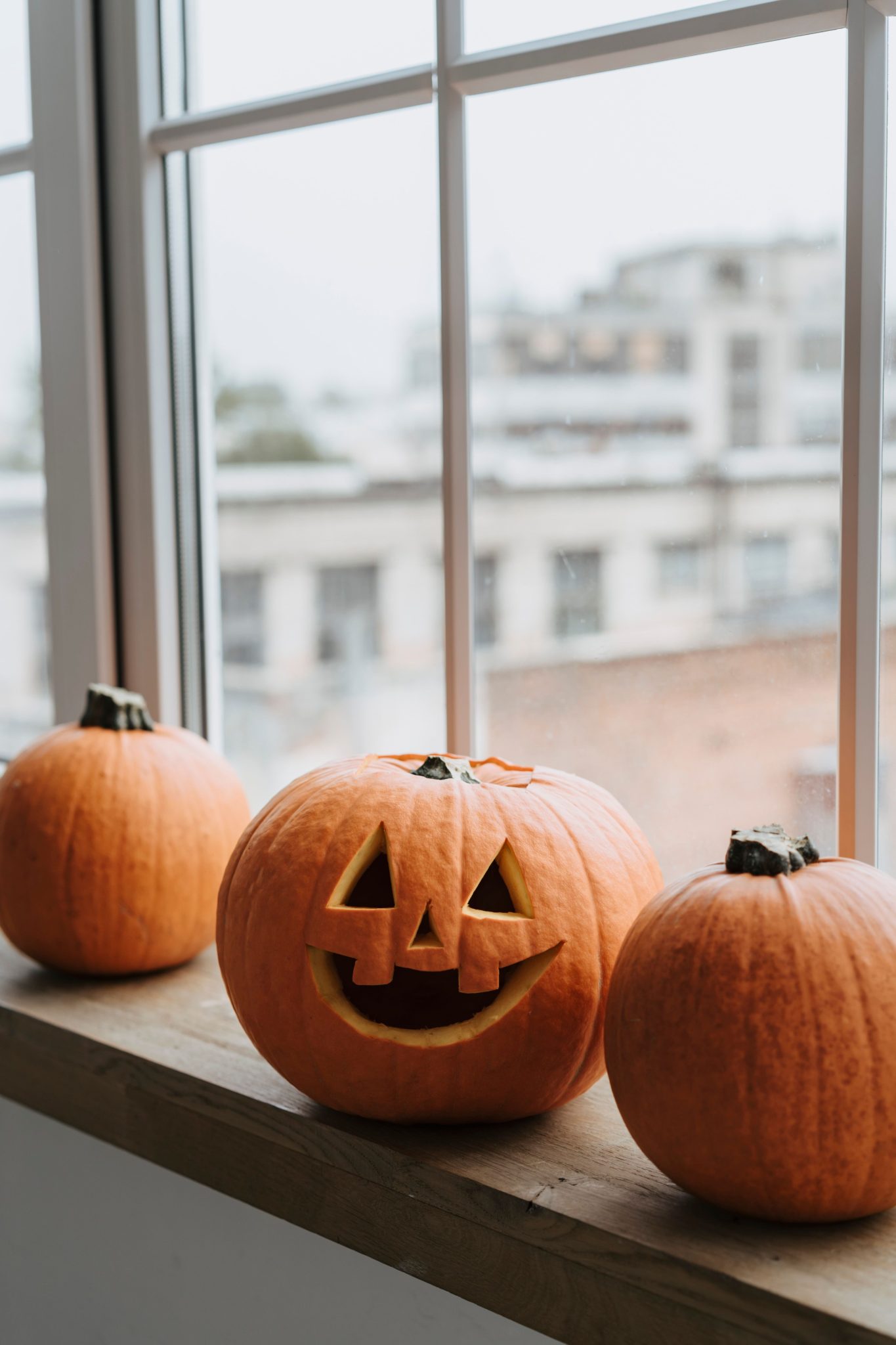 Three pumpkins including a carved jack-o'-lantern by a window, perfect for Halloween decor.