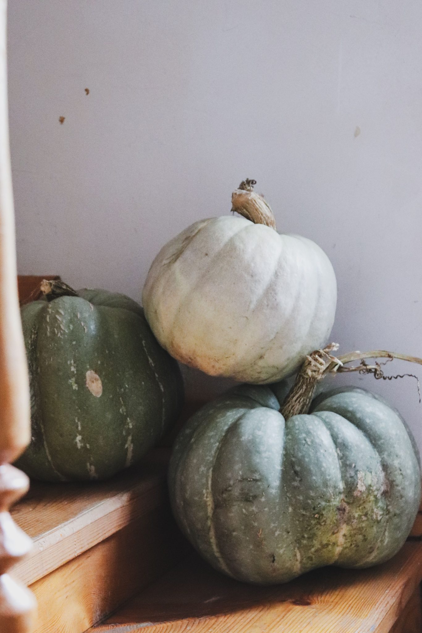 Three rustic pumpkins on wooden steps, creating a cozy autumn vibe indoors.