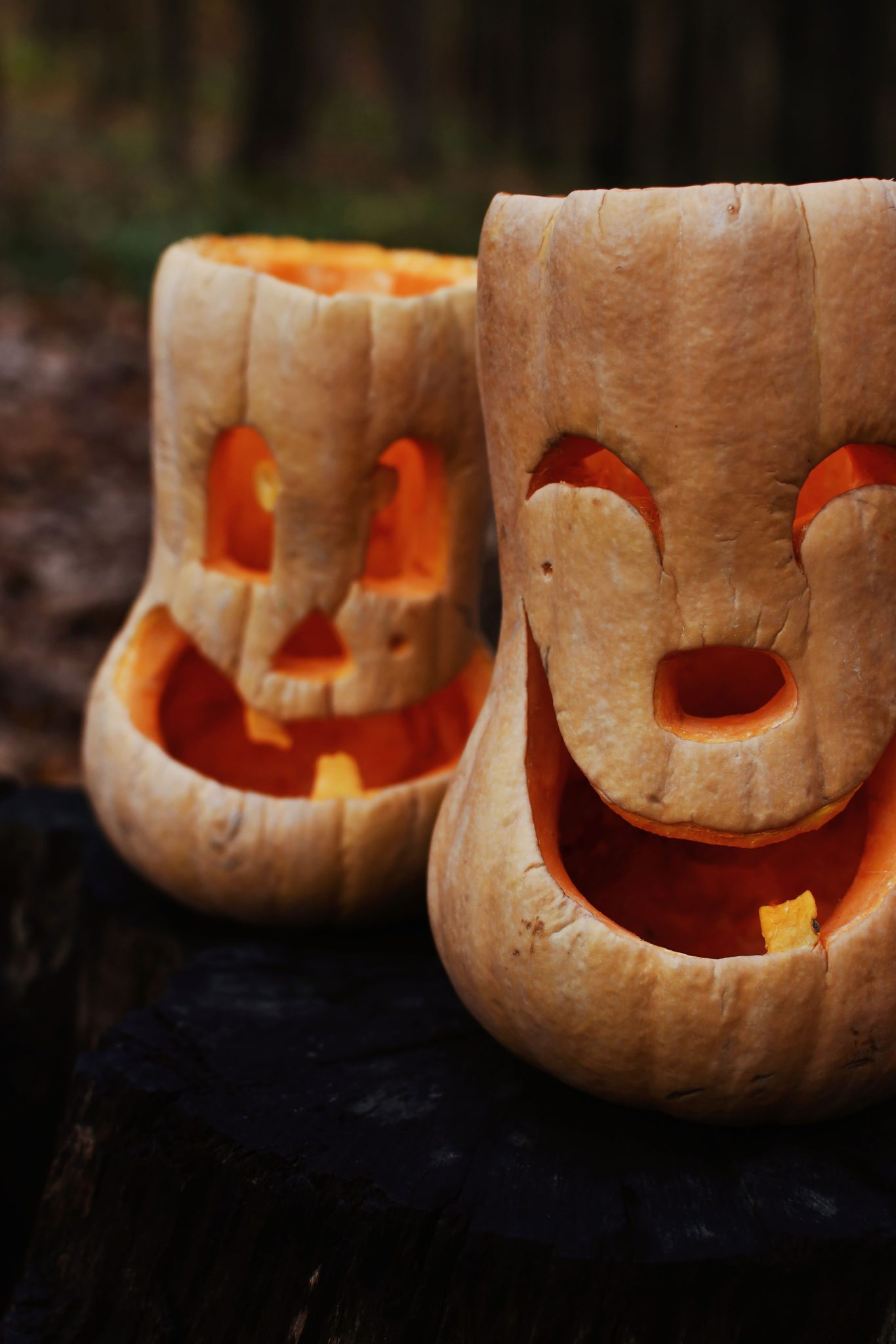 Two smiling carved pumpkins bring a festive touch to an autumn setting outdoors.