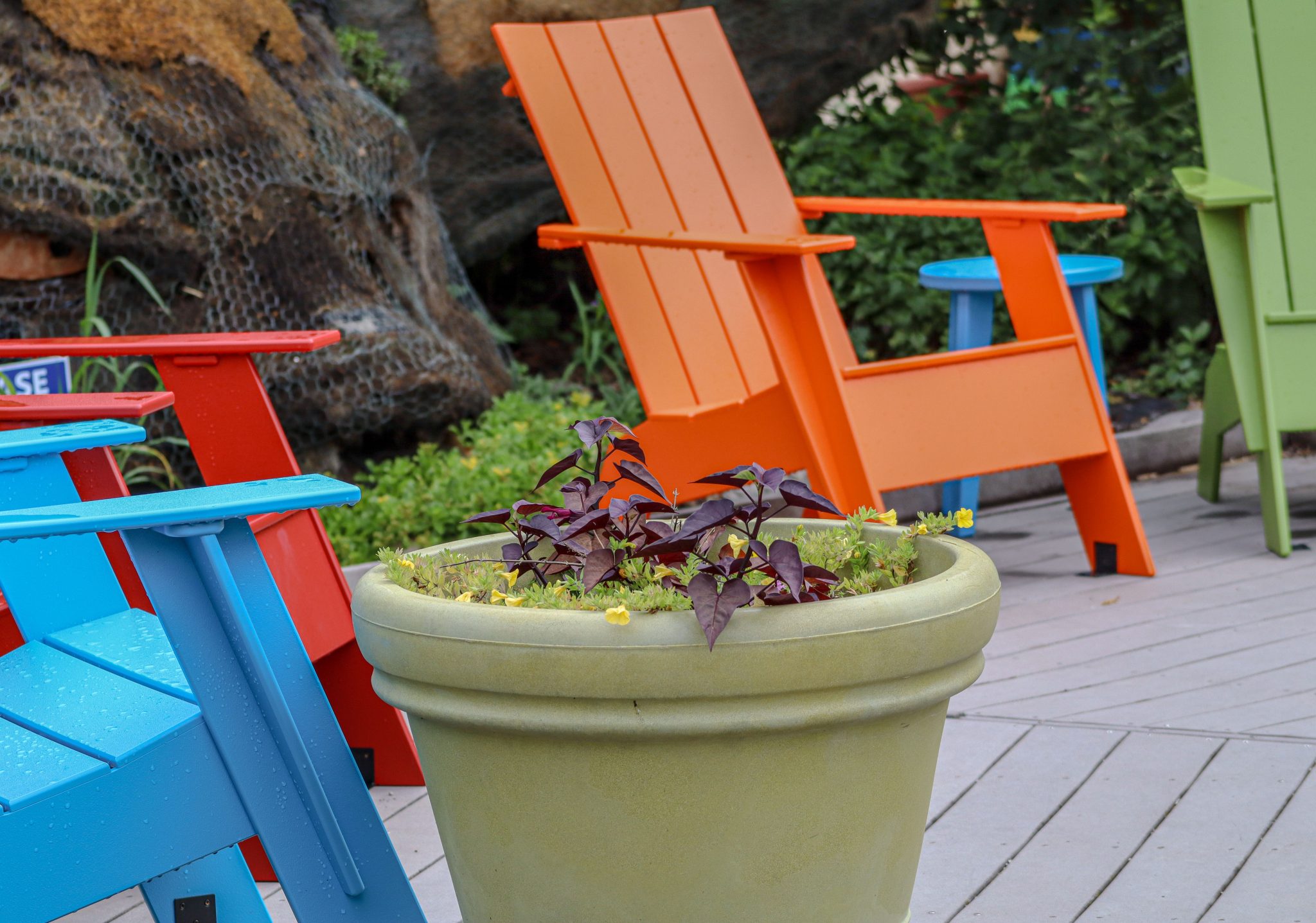 Vibrant Adirondack chairs with a potted plant in a garden setting, offering a bright and inviting outdoor scene.