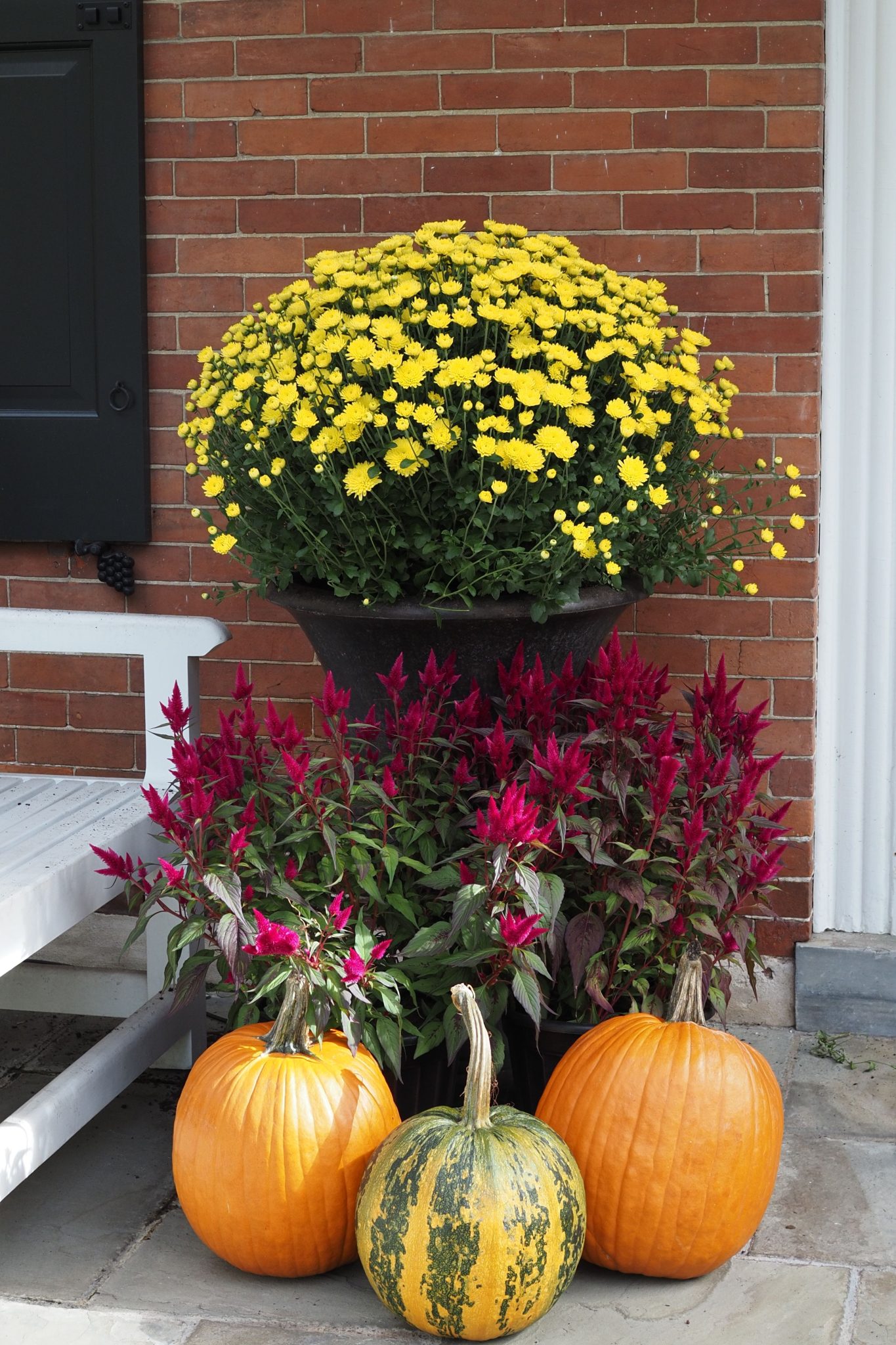 Vibrant autumn display with pumpkins and chrysanthemums by a brick wall.