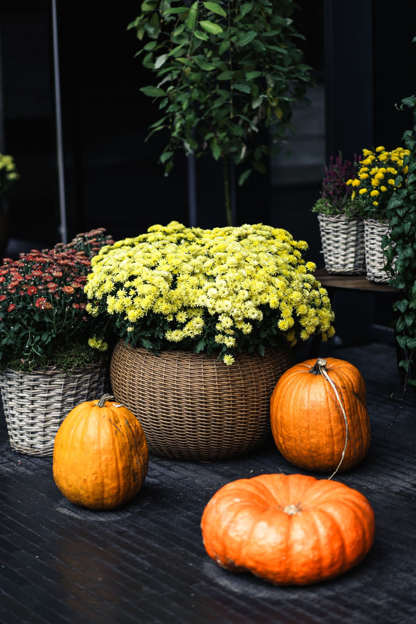 Vibrant autumn flower arrangement with pumpkins showcasing seasonal harvest beauty.