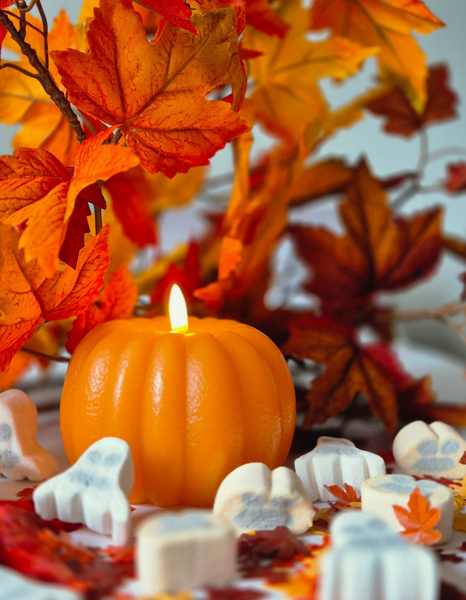 Warm autumn scene with pumpkin candle and colorful leaves, perfect for seasonal decor.