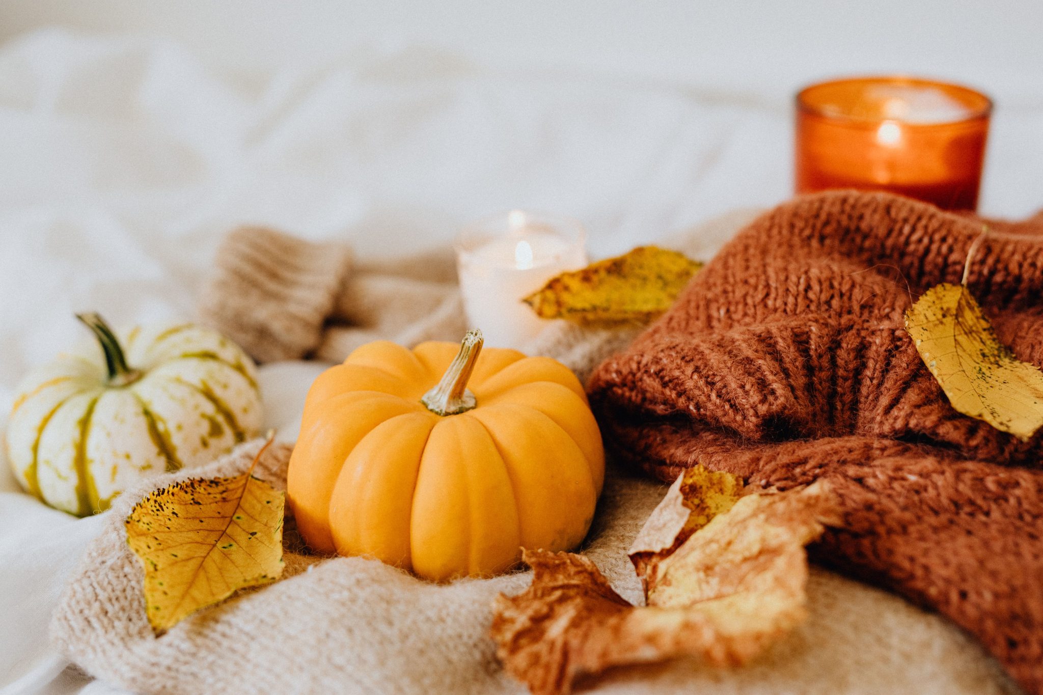 Warm autumn setting with pumpkins and knitted items, perfect for fall vibes.