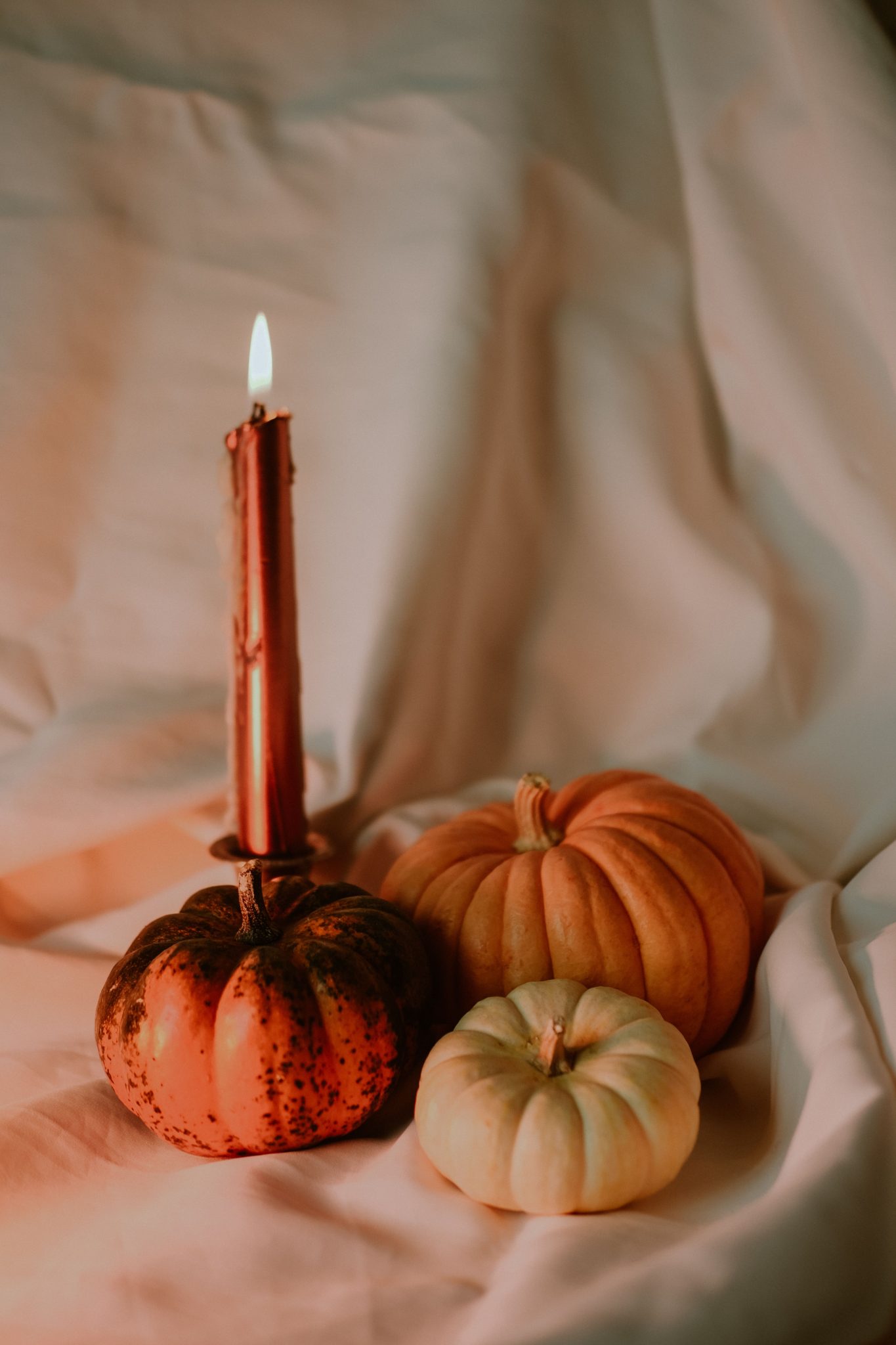 Warm autumn still life featuring pumpkins and a lit candle, perfect for seasonal decor.