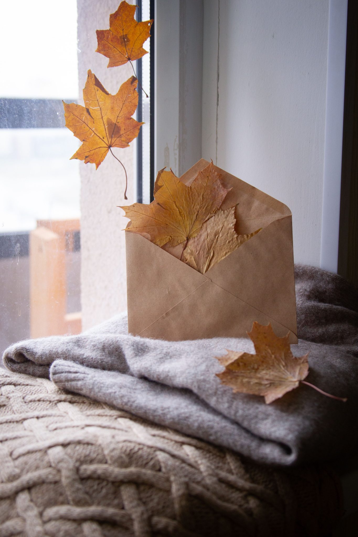 Warm autumn still life with brown envelope and leaves by window.