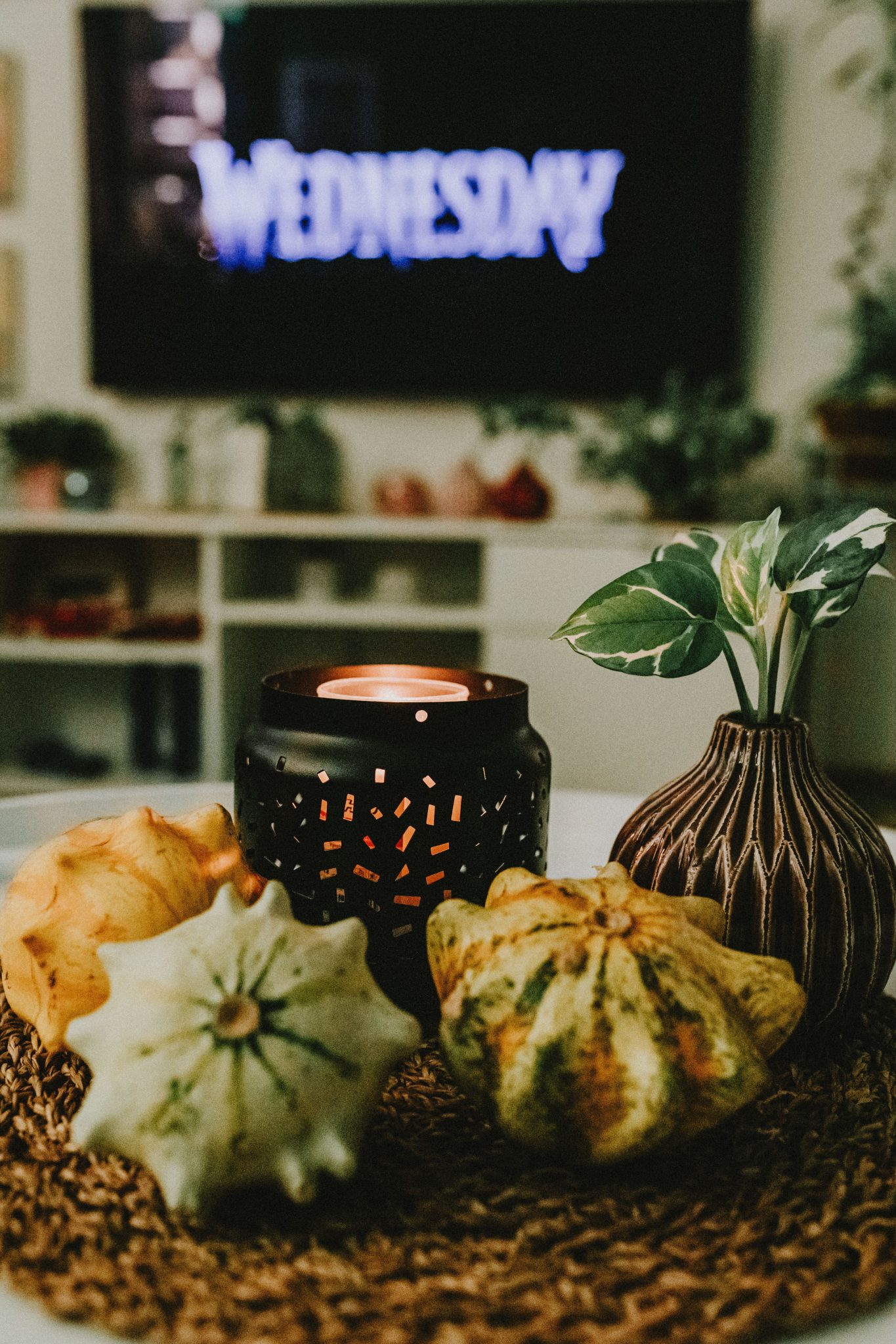 Warm autumn-themed setup with candle, decorative gourds, and vase indoors.