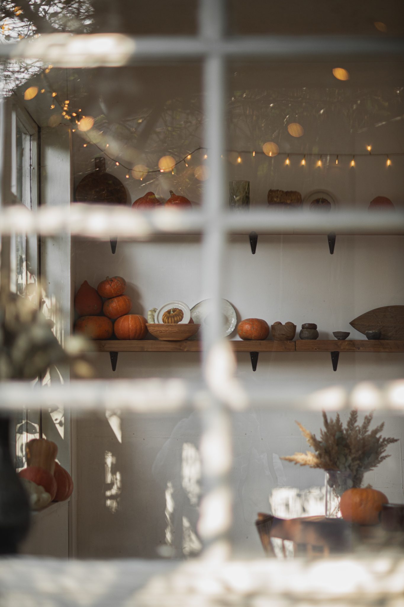 Warm indoor autumn scene with pumpkins, string lights, and cozy decor viewed through a window.