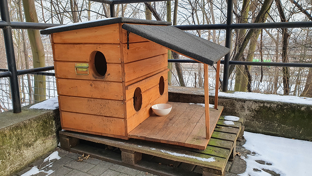 Wooden Cat Outdoor Feral Cat House Diy Feral Cat Box Outside Insulated Cat Shelter Diy Diy