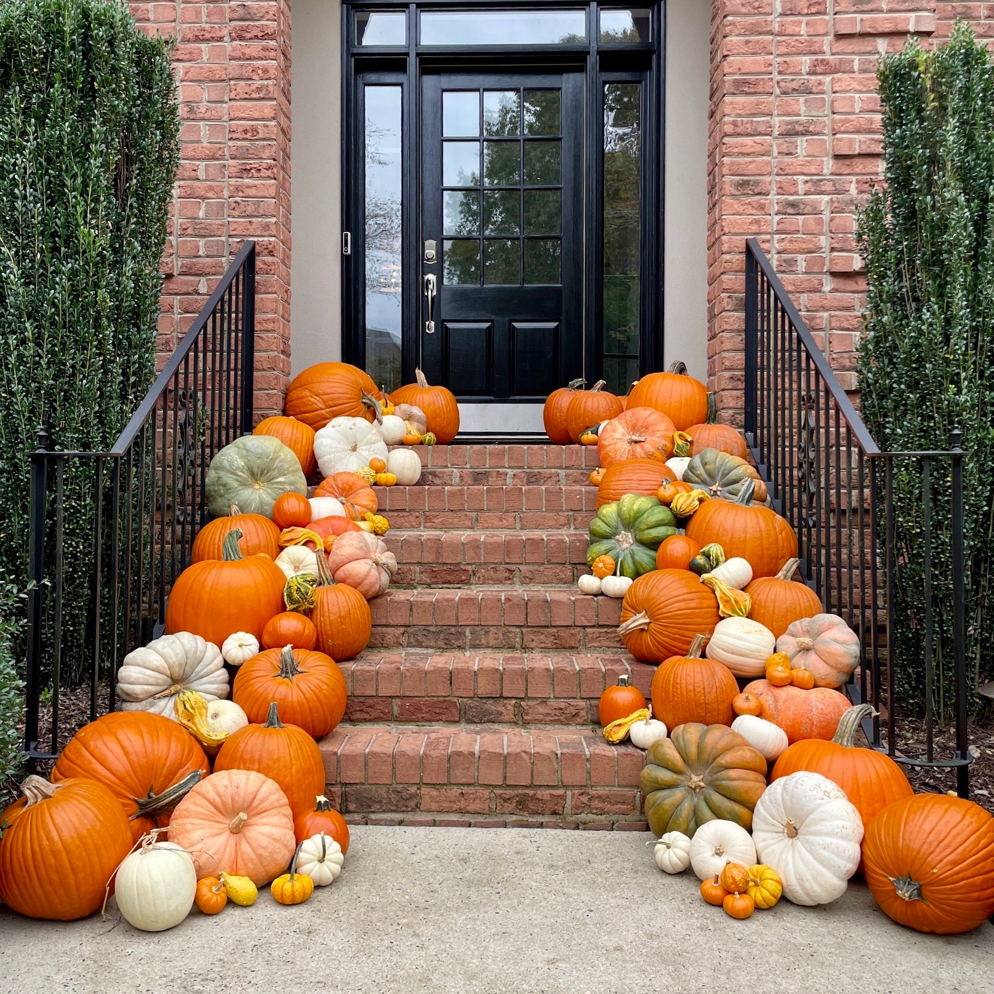 XL Fall Pumpkin Decorating Display for Porch & Outdoor Decor – Lake Norman Pumpkins