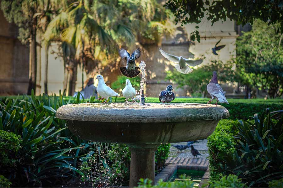 10 DIY Birdbath Ideas You Can Easily Make for Your Garden - Green Backyard