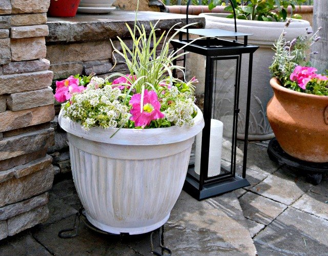 10 Easy DIY Dollar Store Planter Makeover Ideas | Hometalk