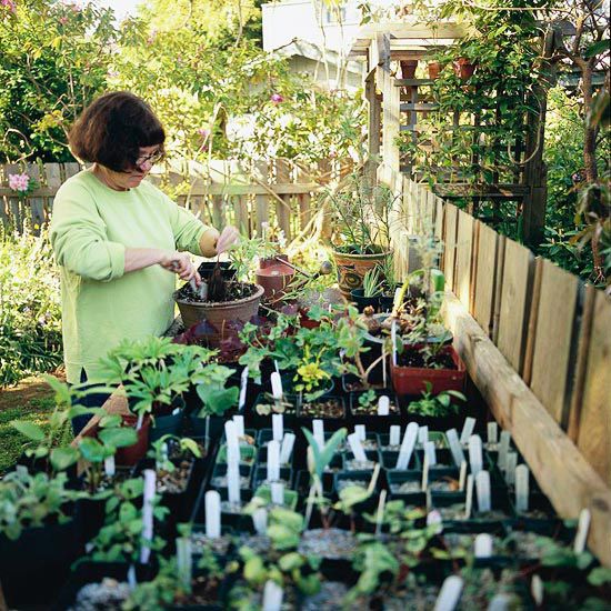 13 Clever Side-of-the-House Landscape Solutions