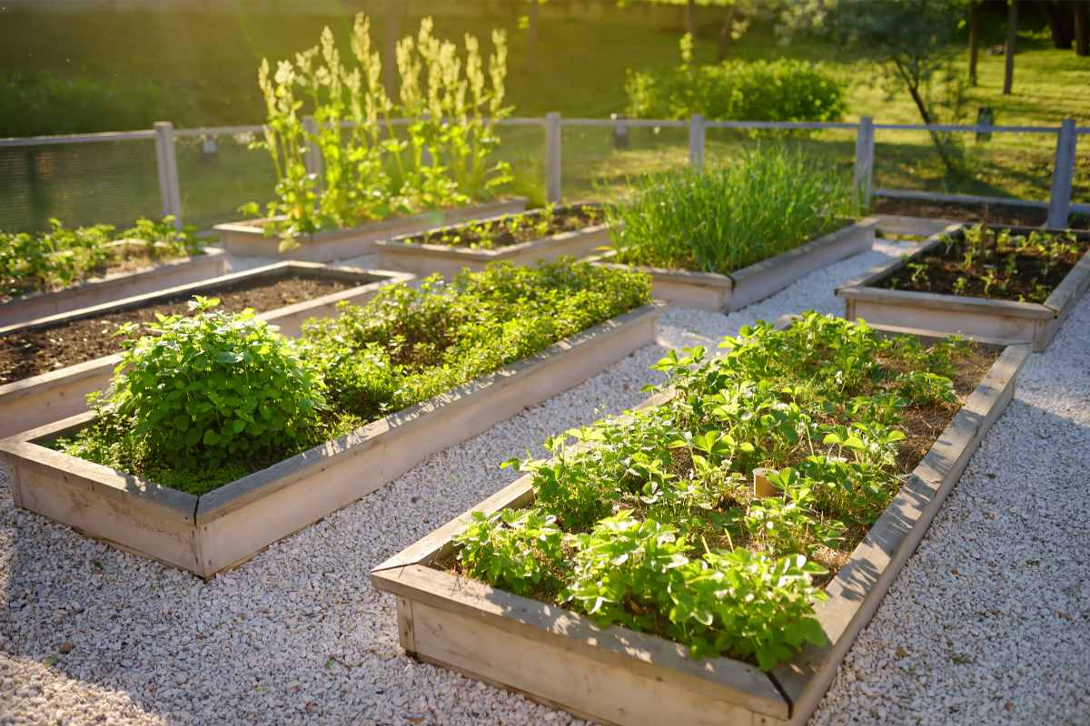 13 Easy DIY Raised Garden Bed Ideas