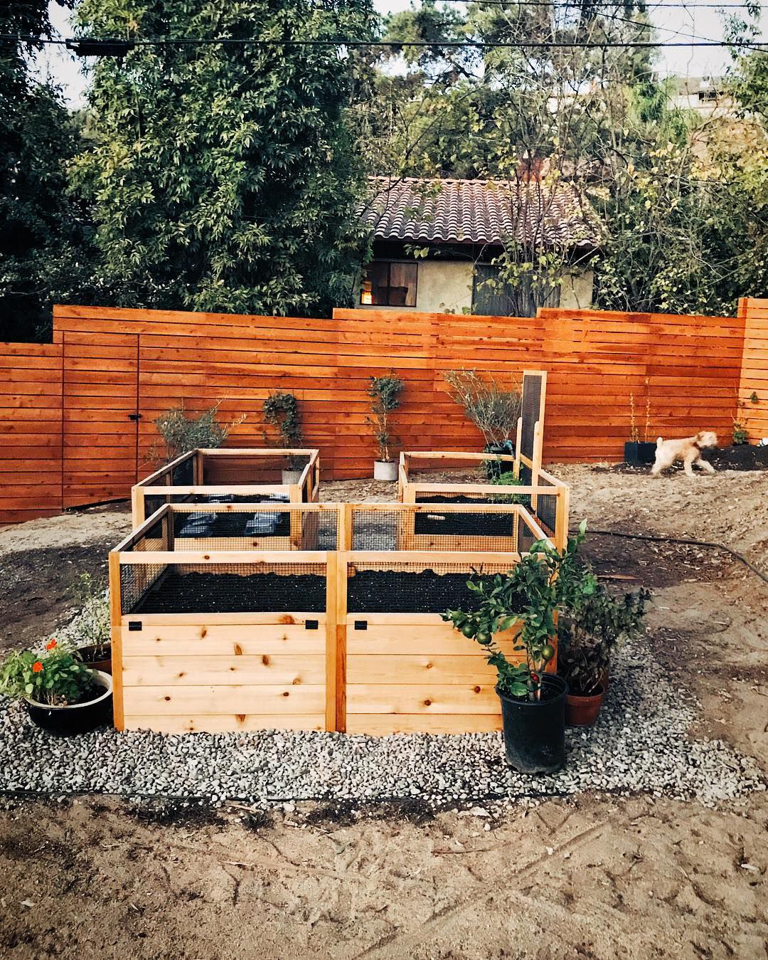 15 DIY and Inexpensive Raised Garden Bed Ideas