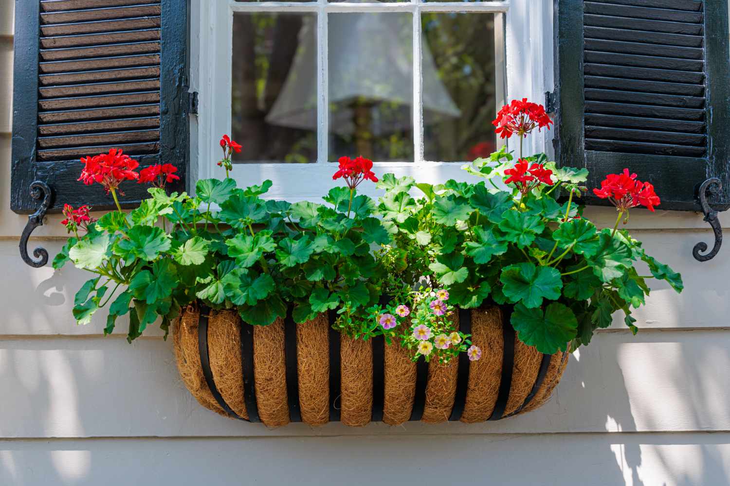 15 Window Box Flowers That Will Instantly Boost Curb Appeal
