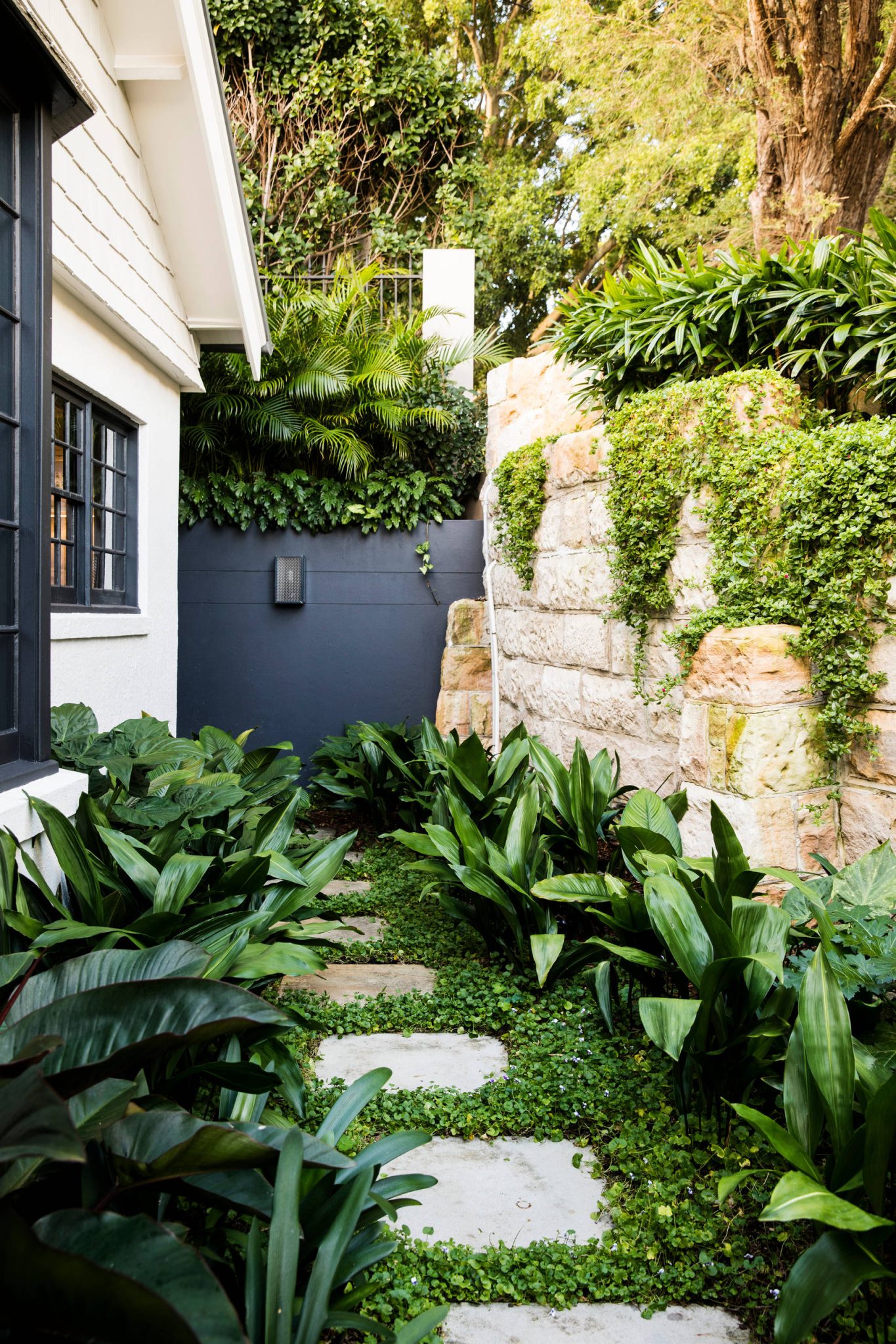 17 Narrow Side Gardens That Bring Beauty to Shady Spots | Houzz IE