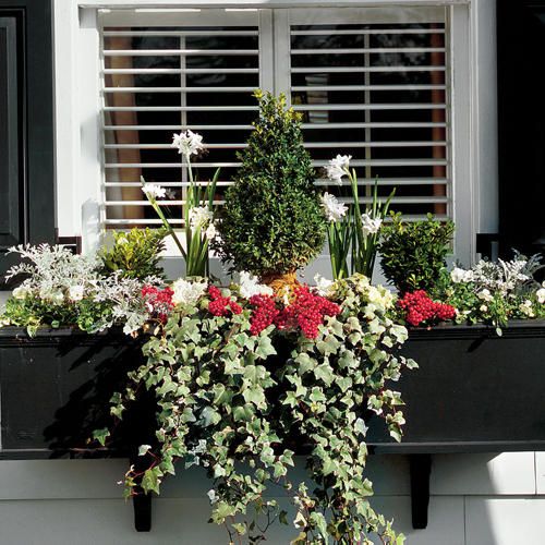 17 Window Box Ideas To Add Instant Charm To Your Home