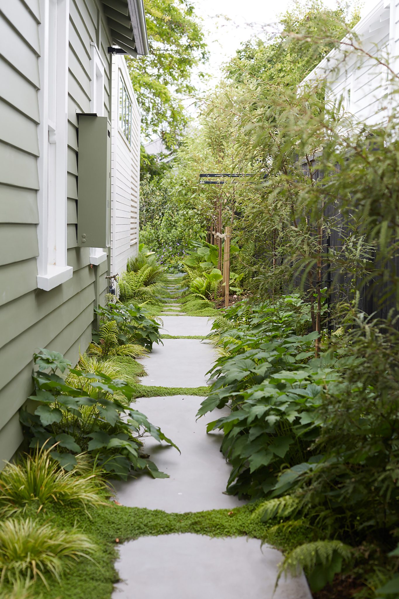 18 Narrow Side Gardens That Bring Beauty to Shade | Houzz NZ
