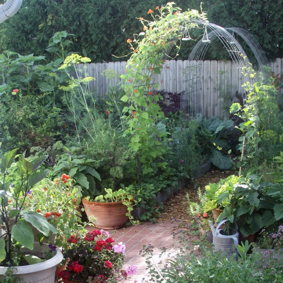 20 Garden Favorites: The Best Projects, Plants and Ideas from My 2022 Garden — My Giant Strawberry: Creative Joy, Watercolor Art and Garden Magic